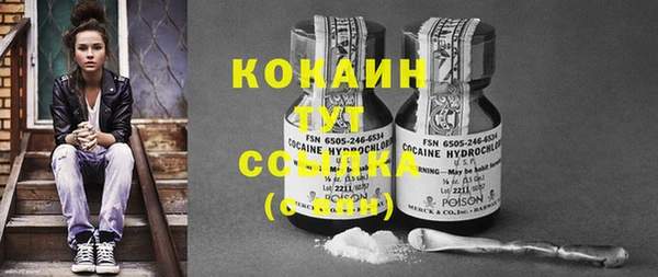 спиды Краснослободск