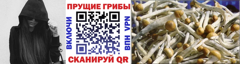 Псилоцибиновые грибы GOLDEN TEACHER  hydra tor  Верхнеуральск 